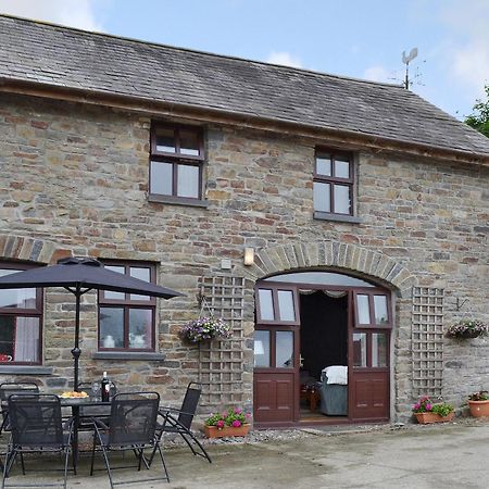 Ty Coch Cottage Dihewid Eksteriør bilde